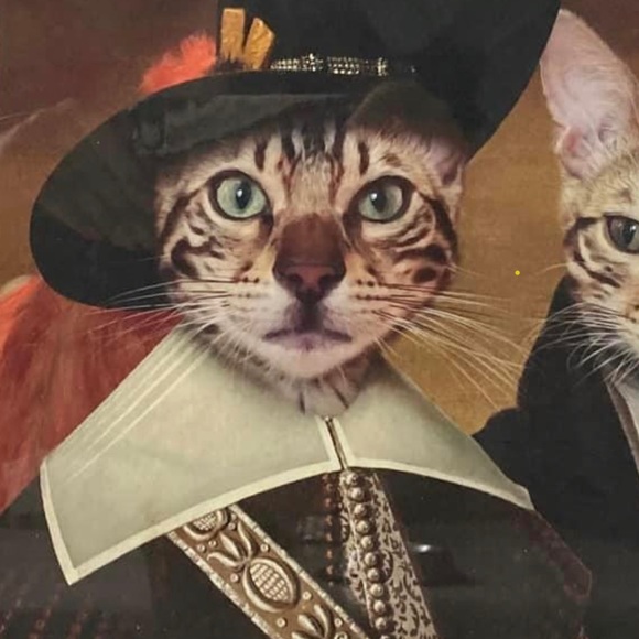 Meet your Posher, Jeanette - Picture 1 of 1